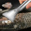 Heavy Duty Fish Descaler with Ergonomic Grip for Easy-3PCS 5