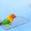 Parrots Play Stand Safe Resting Platform-Small trumpet plus s 2