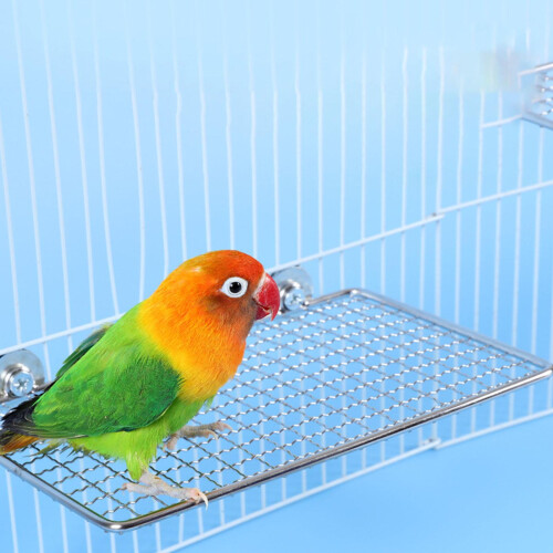 Parrots Play Stand Safe Resting Platform-Small trumpet plus s 1