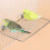 Parrots Play Stand Safe Resting Platform-Small trumpet plus s 3
