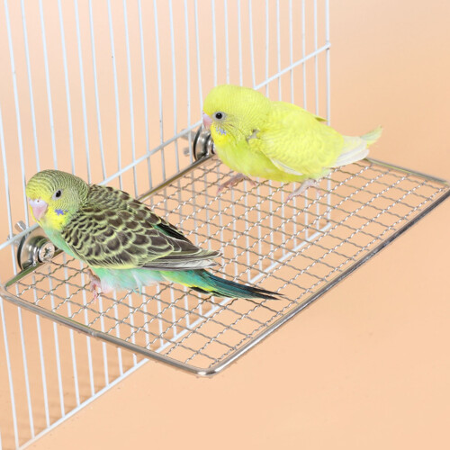 Parrots Play Stand Safe Resting Platform-Small trumpet plus s 2