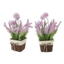 Pianta in vaso Ortensia lavanda 10,5x10,5x8 cm