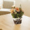 Rosa arancione artificiale in vaso 10,5  10,5  8 cm 4