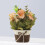 Rosa arancione artificiale in vaso 10,5  10,5  8 cm 7