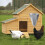 Chicken Cone Medium Size Galvanized Steel Easy To Clean For Poultry Care 4