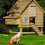 Chicken Cone Medium Size Galvanized Steel Easy To Clean For Poultry Care 5