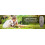 Ultrasonic Dog Trainer Anti-Bark 16.4FT Range 5
