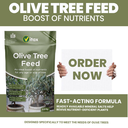 Vitax Vitax Olive Tree Feed 900g 2 Pack Fertilizer 1