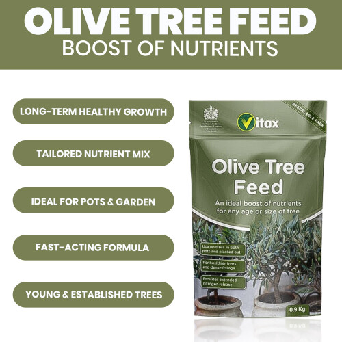 Vitax Vitax Olive Tree Feed 900g 2 Pack Fertilizer 2