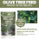 Vitax Vitax Olive Tree Feed 900g 2 Pack Fertilizer 4