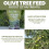 Vitax Vitax Olive Tree Feed 900g 2 Pack Fertilizer 5