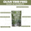 Vitax Vitax Olive Tree Feed 900g 2 Pack Fertilizer 9