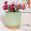 Flowerpot Automatic Water Absorption Round Double Layer-Green 6