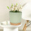 Flowerpot Automatic Water Absorption Round Double Layer-Green 7
