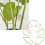 Multifunctional Rustproof Metal Flowerpot Rack-S Green 4