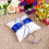 Wedding Ring Cushion 3