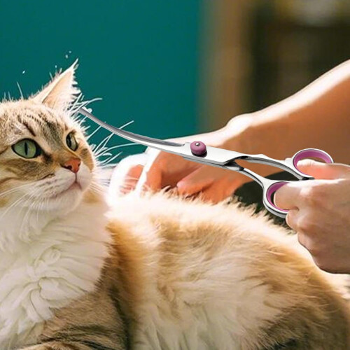 Professional Dog Grooming Scissors for Cats 2