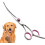 Professional Dog Grooming Scissors for Cats 2