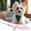 Professional Dog Grooming Scissors for Cats 5