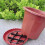 20Pack Easyly Clean Plastic Flower Pot Saucers Waterproof-20cm 4