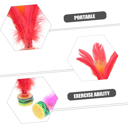 Chinese Jianzi Goose Feather Random Color 20X4CM 2