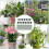 Regulable Plant Support Stick Bendable For Climbing Plant Potted 2