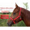 Wearresistant halter for donkey training, adjustable with rope, red. 3