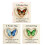 Cadeau élégant transparent de carte de message de poche de-Vert 4