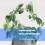 2lots Durability Plant Stand for Climbing Flowers Rusts-White 7