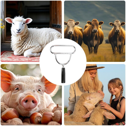 Veterinary Speculum for Sheep  NonSlip Tool with Ergonomic Handle for Cows, Sheep 2