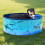 Foldable Kiddie Pool with SlipResistant Base and QuickDrain for Kids and Pets Summer Fun 2