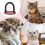 Scratch board for cats, cat face massage brush with scratching arch, reddishbrown 3
