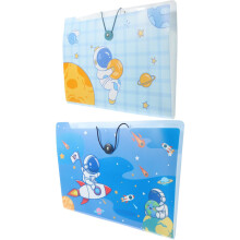 Pack of 2 Test Paper Memory Book Extension via Accordion File Organiser