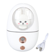 Vaporisateur facial, mini-vapeur facial nano pour une hydratation instantanée, vibration ultrasonique, pratique à utiliser, hydrate et rafraßchit