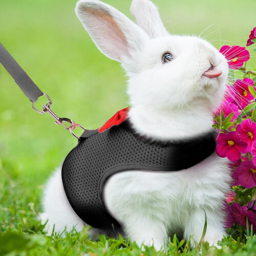 Rabbit Harness and Leashes, Escape Proof, Lightweight Set, Kitten Black S 1
