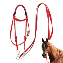 Connection for the head, adjustable horse girth of the rope  Safety harness rope with snap hooks, an animal flange for a stable ride