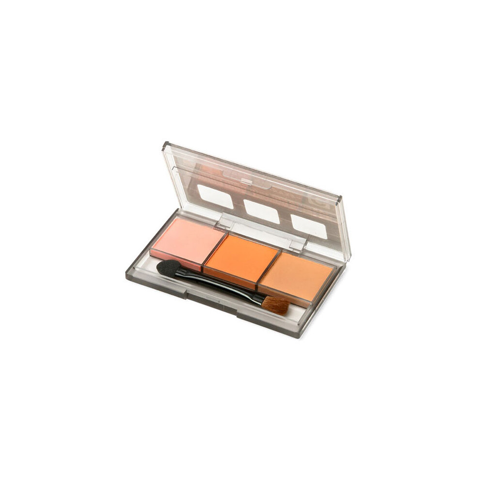 Tamiya Weathering Master G for figures