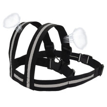 Kids Motorcycle Harness Adjustable With Handles Reflective Strip 2 Pack Passenger Safety Belt For Motorcycle Riding