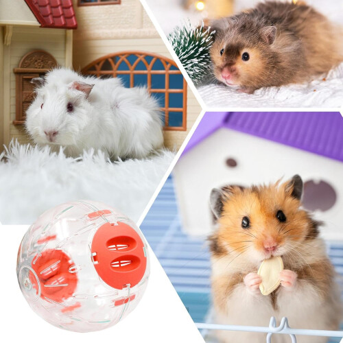 Hamster wheel, dwarf hamster ball, interactive silent wheel for chinchilla 2