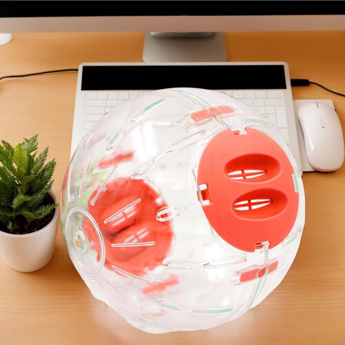 Hamster wheel, dwarf hamster ball, interactive silent wheel for chinchilla 1