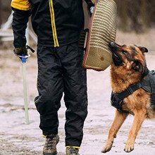 Thickened Dog Sleeve with Handle Dog Training Arm Guard Training Equipment for Medium Large Dogs Outdoor Training