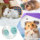 Silent Interactive Dwarf Hamster Wheel  Cute small pet cage accessories, Blue, 14 cm 3