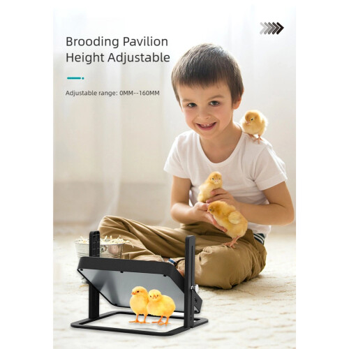 （1 Pack）Chicken Brooder Heater Plate-Chicken Heater, Adjustable 2