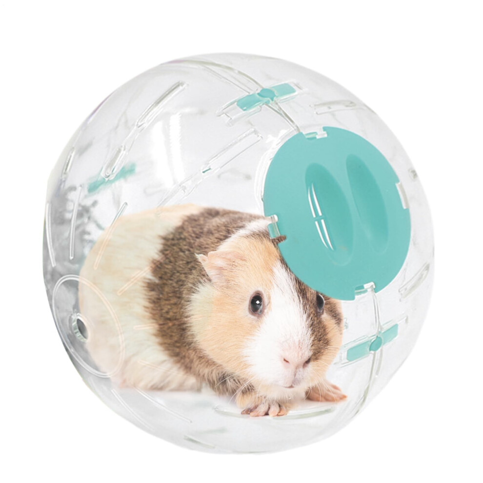 Hamster Ball Transparent Interactive Mouse Ball For Guinea Pigs, Kids – 14 Cm Blue