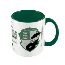Harry Potter Slytherin House Pride Mug