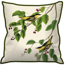 John James Audubon Carbonated Warbler Cushion