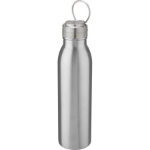 (One Size, Silver) Harper Stainless Steel 700ml Water Bottle
