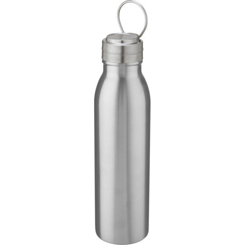 (One Size, Silver) Harper Stainless Steel 700ml Water Bottle