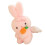 Pull string plush toy stuffed animal with wings, Interactive Ribbit home decor 1