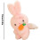 Pull string plush toy stuffed animal with wings, Interactive Ribbit home decor 4